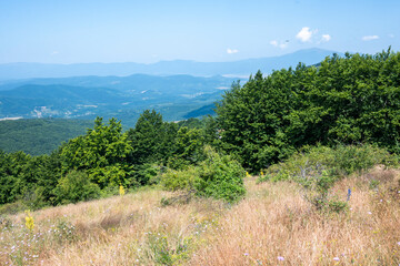 Landscape of Erul mountain near Kamenititsa peak, Bulgaria