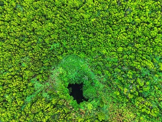 Entrada do vulcão chamado Algar do Carvão na ilha Terceira, Açores  © António Duarte