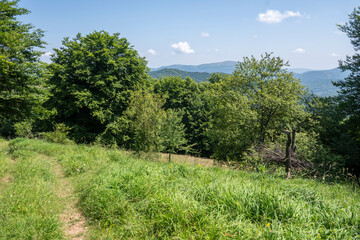 Landscape of Erul mountain near Kamenititsa peak, Bulgaria