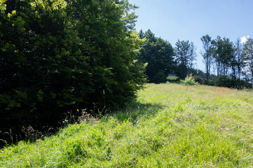 Obraz premium Landscape of Erul mountain near Kamenititsa peak, Bulgaria