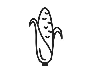 corn line icon. farm, farming, harvest and agriculture symbol. organic vegetable vector image