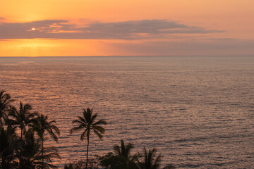Fototapeta na wymiar A golden sunset with palm trees in Puerto Vallarta Mexico