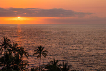 Fototapeta na wymiar Puerto Vallarta's palm trees and a beautiful sunset