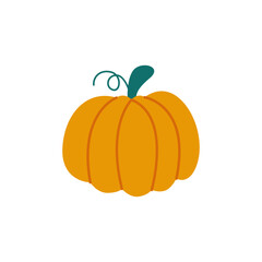 pumpkin illustration