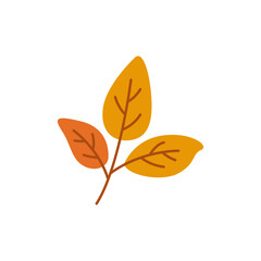 twig leaf illustration