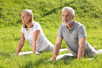 Senior couple practicing yoga on green grass outdoors