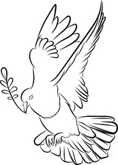 flying dove holds an olive branch as an iconic vector of peace line art.