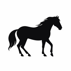 Horse silhouette isolated on white background