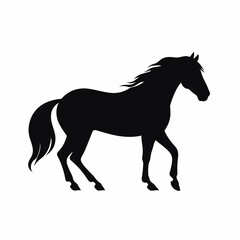 Fototapeta premium Horse silhouette isolated on white background