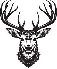 Deer Buck Hunting Outdoors Animal