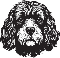 Dog Pup Puppy Head Pet Cockapoo Animal
