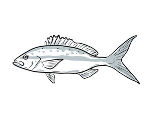 Drawing sketch style illustration of a yellowtail snapper Fish Gulf of Mexico side view black and white on isolated white background.
