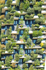 japanese garden with lanterns