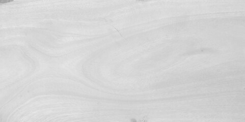 Subtle white wood texture background of birch plywood grain. Cool light grey natural wooden texture wallpaper. Vector