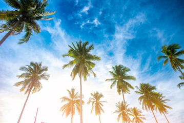 Coconut trees by the sea and beautiful light.Thai sea summer sunshine background.