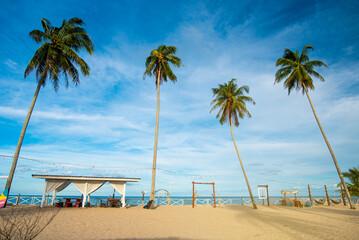 Coconut trees by the sea and beautiful light.Thai sea summer sunshine background.