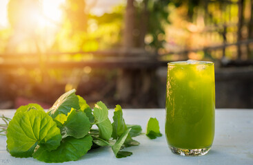 Gotu kola drink, Centella asiatica juice,heart tonic, Asiatic leaf juice