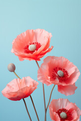 Beautiful peach pink and red poppy flowers on pastel blue background. Aesthetic minimal floral composition