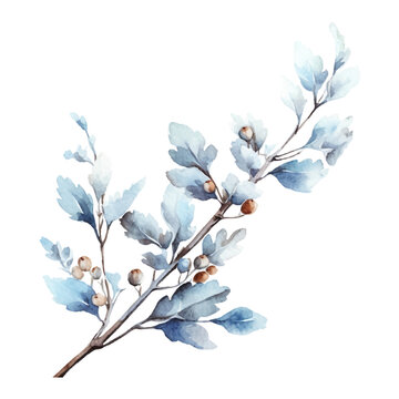 Winter Watercolor Clip Art, Watercolor Flowers Illustration, Floral Sublimation Design, Blue White Flowers Clip Art © SA DESIGNS