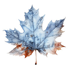 Winter Watercolor Clip Art, Watercolor Flowers Illustration, Floral Sublimation Design, Blue White Flowers Clip Art