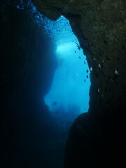cave diving underwater scuba divers exploring caves and having fun ocean scenery