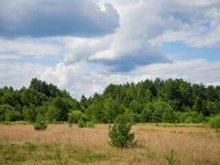 Lush green grass on field and hill, grasslands national park, val marie, saskatchewan     