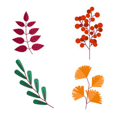 Autumn leaves set. Green, red and orange foliage and berry. Fallen yellow maple and oak trees leaf. Botanical decor for banners and posters holidays isolated decorative. Vector illustration