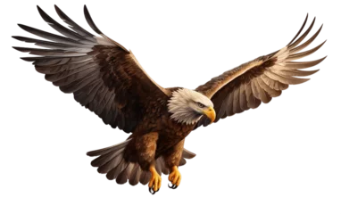 Foto auf Leinwand Eagle on Transparent Background. Generative AI ©  Creative_studio