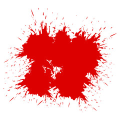 Splash paint vector