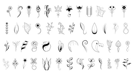 Big Abstract Set Doodle Elements Hand Drawn Collection Botanic Herbal Flora Leaf Branch Vine Flower Plant Elements F Vector Desgin Style