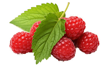 Raspberry with Leaf on isolated Background. Generative AI