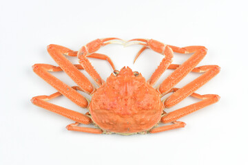 ズワイガニ　ボイル