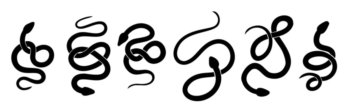 Vector set of black silhouettes of snakes in various poses. Collection of monochrome cobras and boas isolated from background. Animal clipart for sublimation, stickers and icons