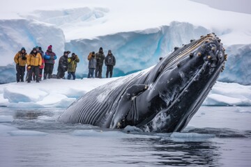 Humpback whale in Antarctic waters, Antarctica. Humpback whale in Antarctica. A Humpback Whale takes a dive while tourists film the event, Antarctica, AI Generated - obrazy, fototapety, plakaty