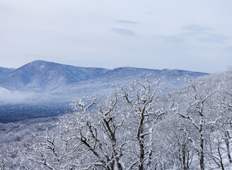 A winter morning in a mountainous area, a panorama of snow-capped mountains, slopes in a snowy decoration.