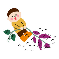 さつまいもを掘る子ども