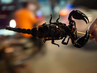 fried scorpion in market in Cambodia