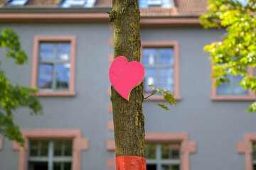 Close up of a tree in the city with a pink heart