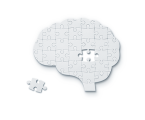 Jigsaw puzzle in shape of human brain, PNG file, cut out, with transparent background