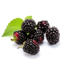 Blackberries on plain white background - product photography