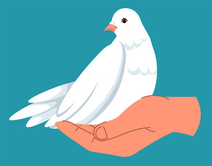 Dove in hand, pigeon symbol peace and tranquility