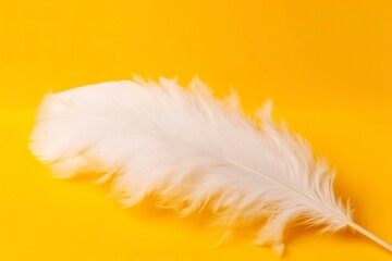 Close up of bright white feather. Copy space, yellow background. Fashion and Party concept. 