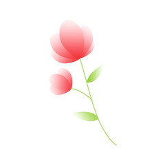 pink flower