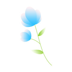 illustration of a blue flower