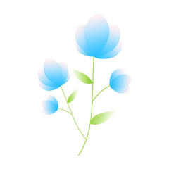 blue flower