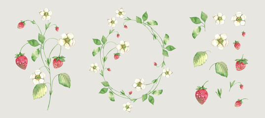 Wild strawberry set. Wreath, berries, flowers, isolated twigs. Watercolor. Floral Botanical illustration. Design for natural cosmetics, summer garden design element.