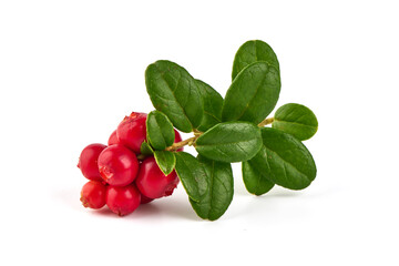 Lingonberry with leaves, isolated on white background.