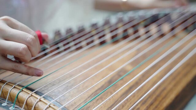 People playing the zither