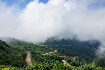 beautiful panoramic landscape - hills with green grass and a walking path among a white big cloud...