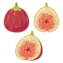 イチジクセット